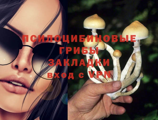 гашик Армянск