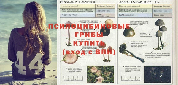 соль курить ск Аркадак